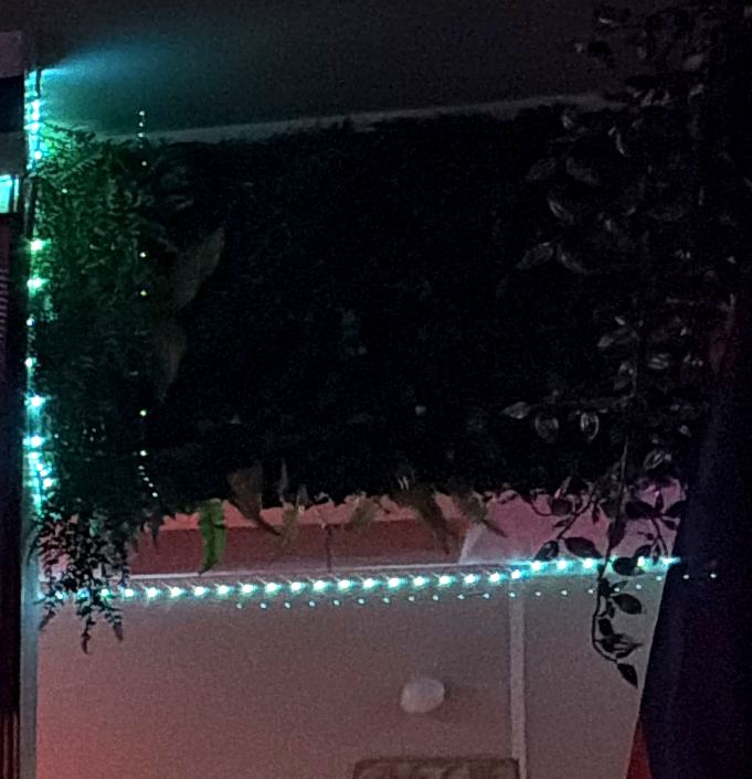 Pflanzenwand in der Koala Bar mit türkiser Lichterkette